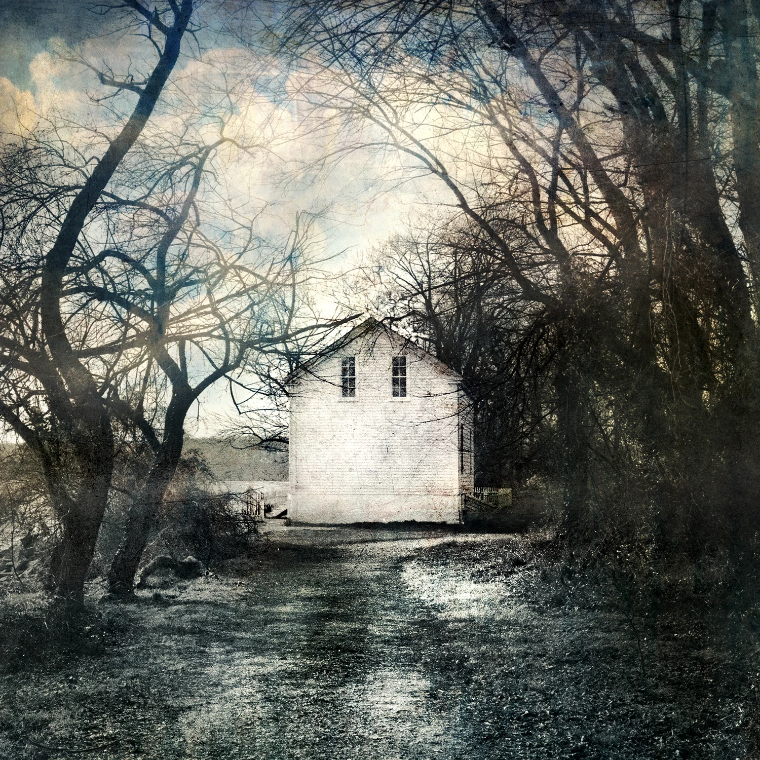 David Douglas - Mixed Media Artist | Iris Gallery | Contemporary